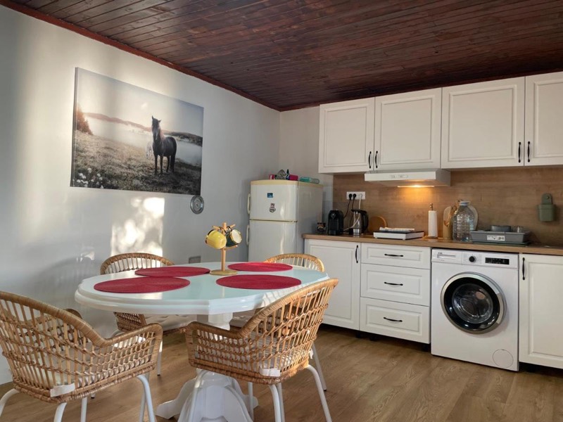 Kitchen and living room with a round dining table, rattan chairs, white cupboards, washing machine and wooden ceiling